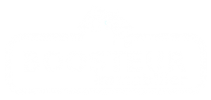 logo boosteur immobilier (1)
